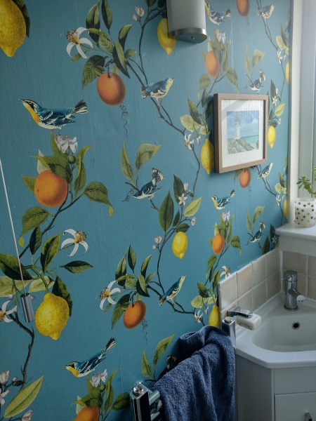 To ask to see your downstairs toilet wallpaper?