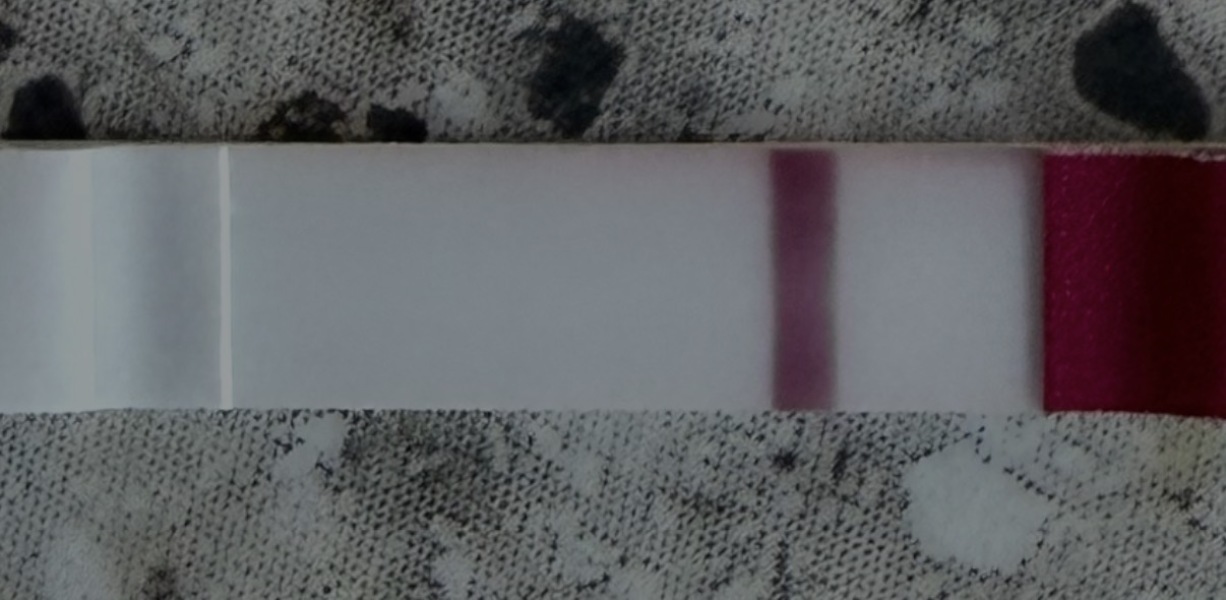 Can anyone else see a second line on this test?