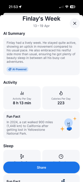 Carry On Catting - the Excellent Cats do what they do best