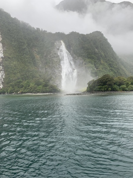 The Great Cancer Recovery part 5