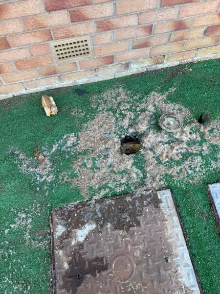 Baffled by gunk (following fitting of artificial grass)