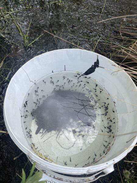 Year Round Nigel Slater discussion thread - Part 4