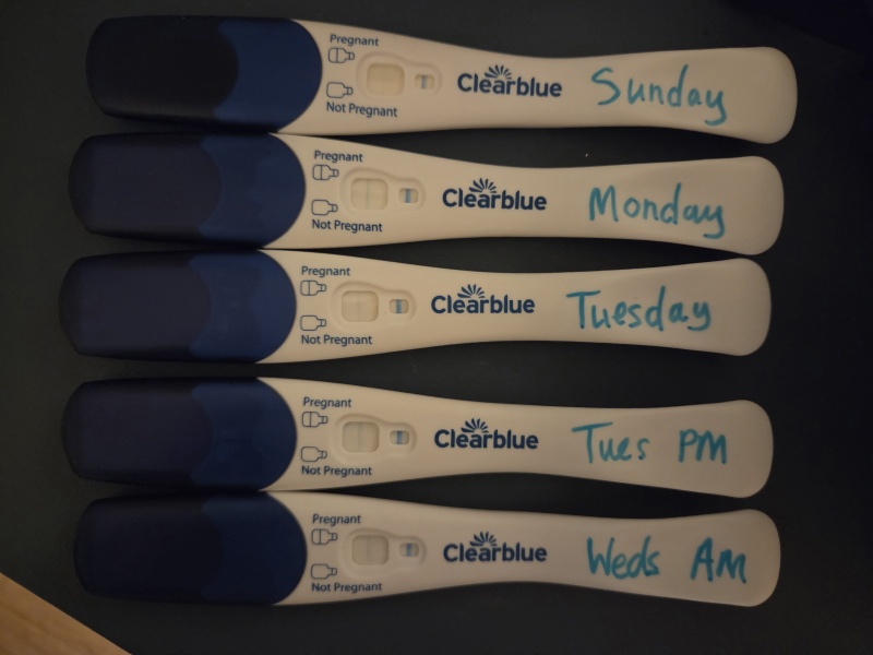 Possible chemical pregnancy - Line progression