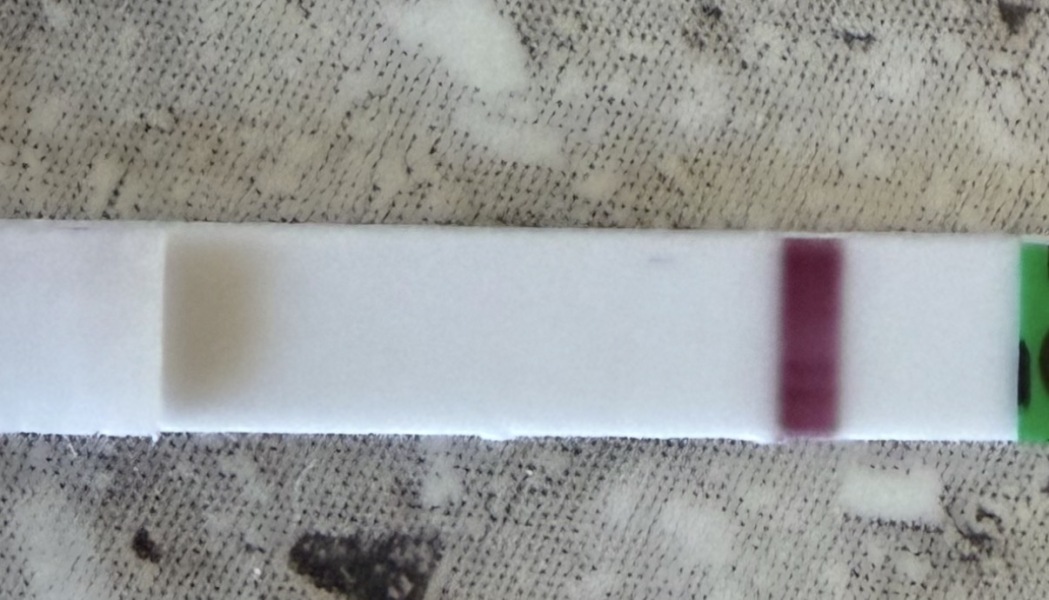 Can anyone else see a faint second line on this test?