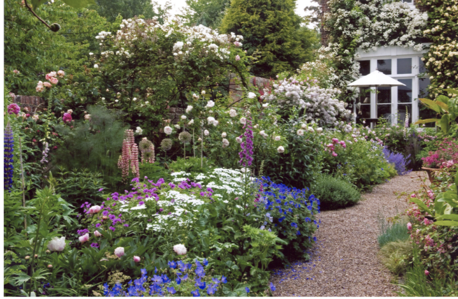 AIBU to rip out a beautiful garden in potential house?