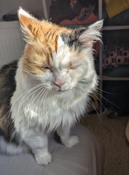 Year round Nigel Slater discussion thread - Part 3