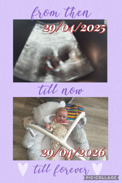 IVF Pregnancy Club- Part Two