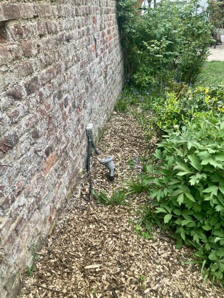 Plants for a cottage garden border