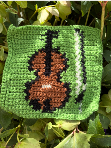 Woolly Hugs. A blanket for lovely wafflenose who has tragically lost her daughter. Can you help us please?