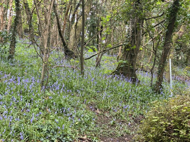 Year Round Nigel Slater discussion thread - Part 4