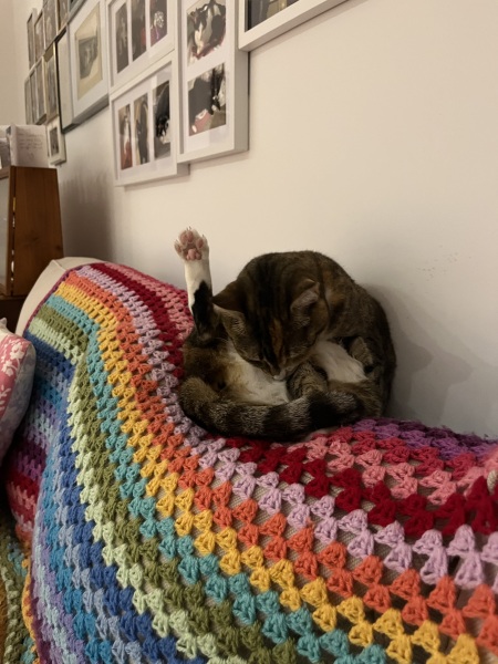 The Bluestocking: To the moon and back gerbil style.