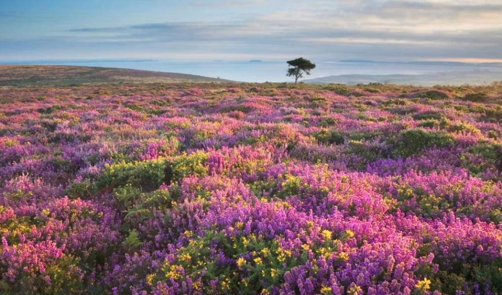 Part 2. Our blanket making for lovely waffle heads into its final stages.