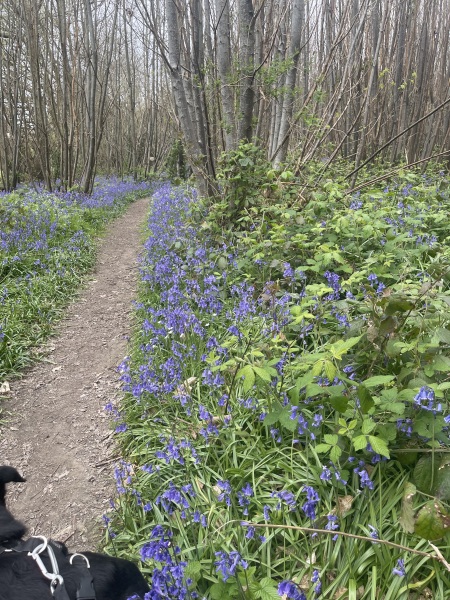 Beyond Adolescence and General Chit Chat - part 3