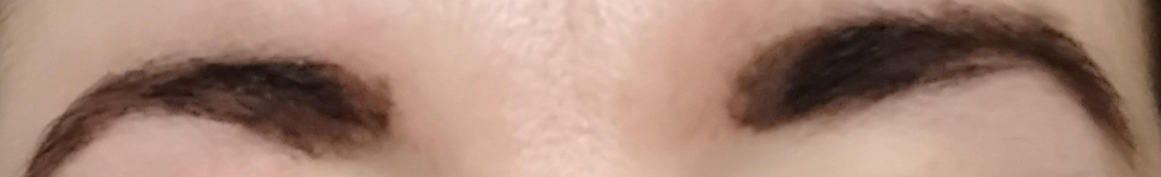 Wanted: Honest Opinions only 😊 (Eyebrows)