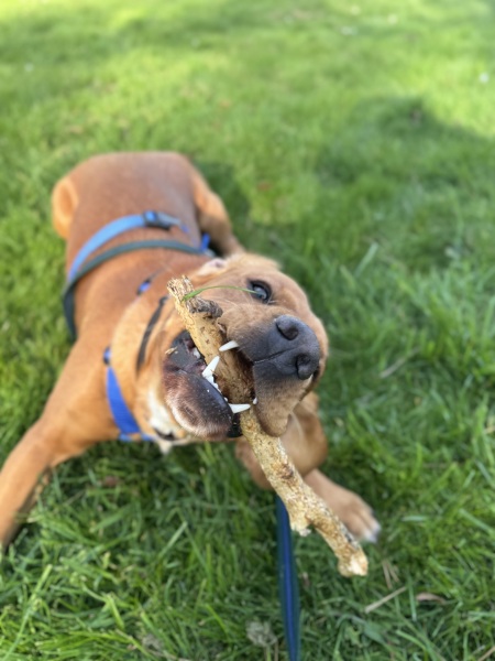 Beyond Adolescence and General Chit Chat - part 3