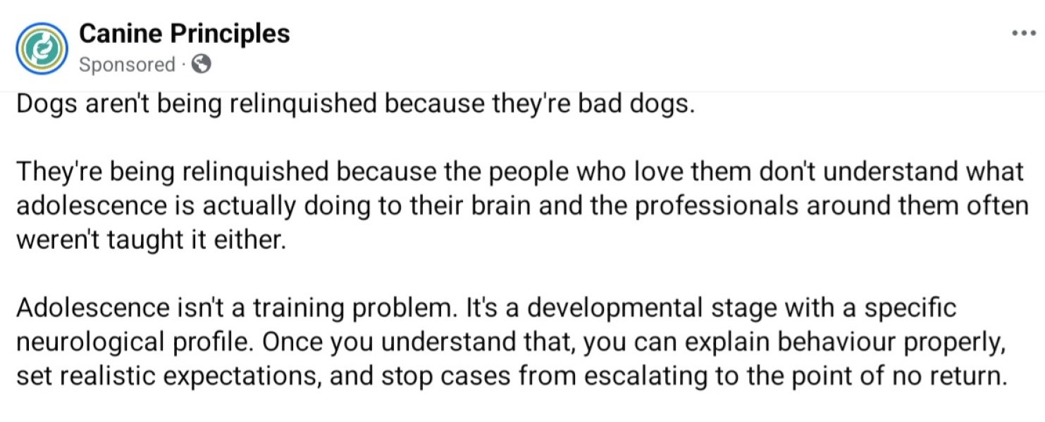 Beyond Adolescence and General Chit Chat - part 3