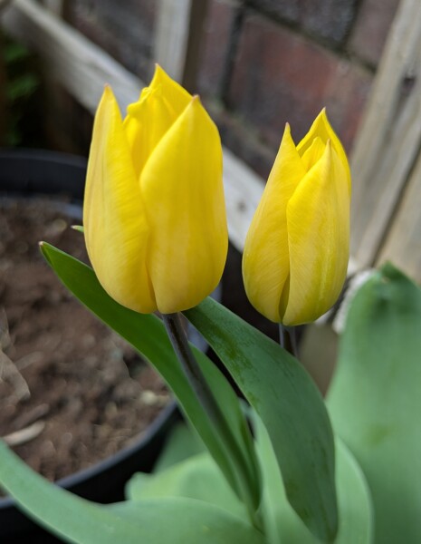 Year round Nigel Slater discussion thread - Part 3