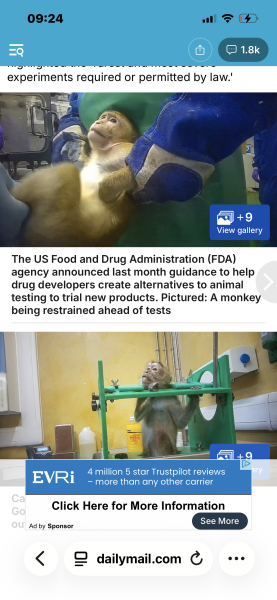 Animal cruelty - lack of support on threads