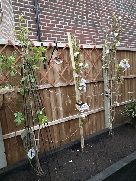 What have you done in the garden today? Part 8