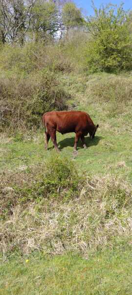 Year Round Nigel Slater discussion thread - Part 4
