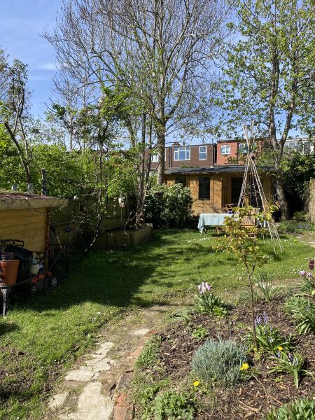 In a pickle about a pear tree - help!