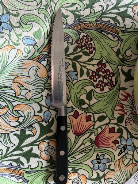 The Bluestocking: To the moon and back gerbil style.