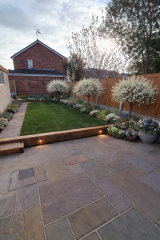 What could I plant to soften new fencing and bare borders?