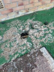 Baffled by gunk (following fitting of artificial grass)