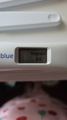 Do these pregnancy test lines look promising at 12 DPO?
