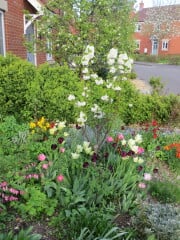 AIBU to rip out a beautiful garden in potential house?