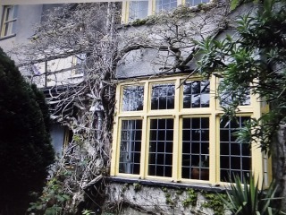 How's your wisteria doing? Or what are you proud of in the garden today?