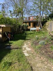In a pickle about a pear tree - help!