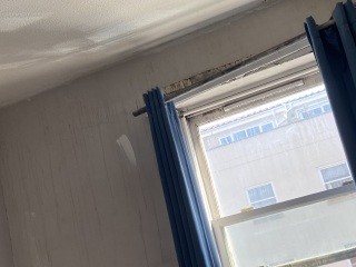 AIBU to leave a friend's flat because it was too messy?