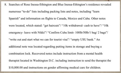 US TIM kidnaps 10-year-old son for surgical castration