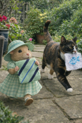 The Bluestocking: To the moon and back gerbil style.