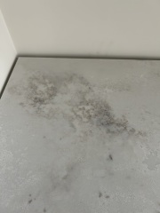 Problem with quartz worktops