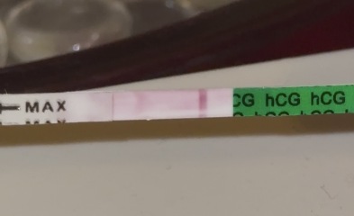 Could a faint pregnancy test line disappear as it dries?