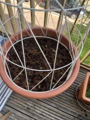 Carry On Catting - the Excellent Cats do what they do best