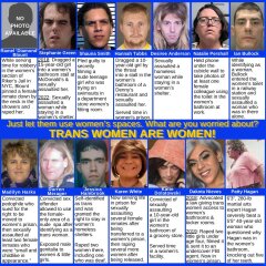 New Idaho law criminalising cross sex toileting.