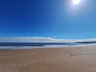 Year Round Nigel Slater discussion thread - Part 4