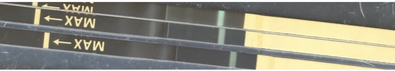 Evap line or pregnancy?