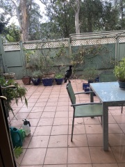 Please tell me you also have cats that completely fail at catting 🙀