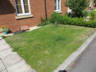 AIBU to rip out a beautiful garden in potential house?