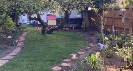 Join us in the Goose and Carrot Pub thread.