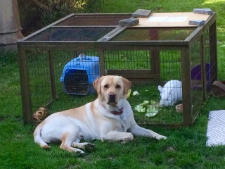 Do you remember this Mumsnet story…?  Update