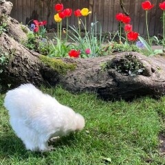 Come and tell us your dull and unexciting news 35: Calmly through the day