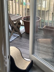 Carry On Catting - the Excellent Cats do what they do best