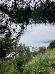 Year round Nigel Slater discussion thread - Part 3