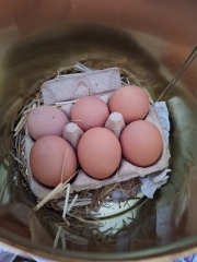 Year Round Nigel Slater discussion thread - Part 4