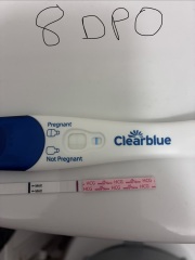 Worried about little line progression on tests at 8 to 11 DPO